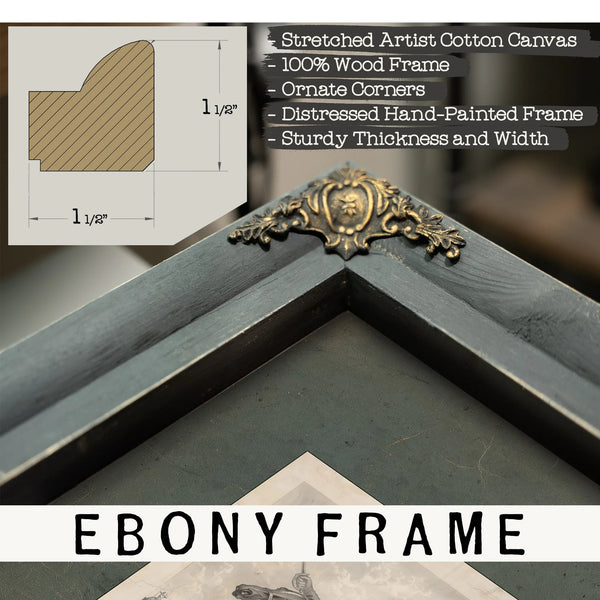 Colonel Theodore Roosevelt Usv 19th Century — Framed Wall Art Room View | Bella Frye
