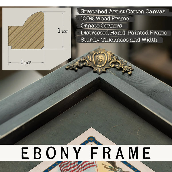 Origin and History of the Stars and Stripes 1899 — Framed Wall Art Room View | Bella Frye