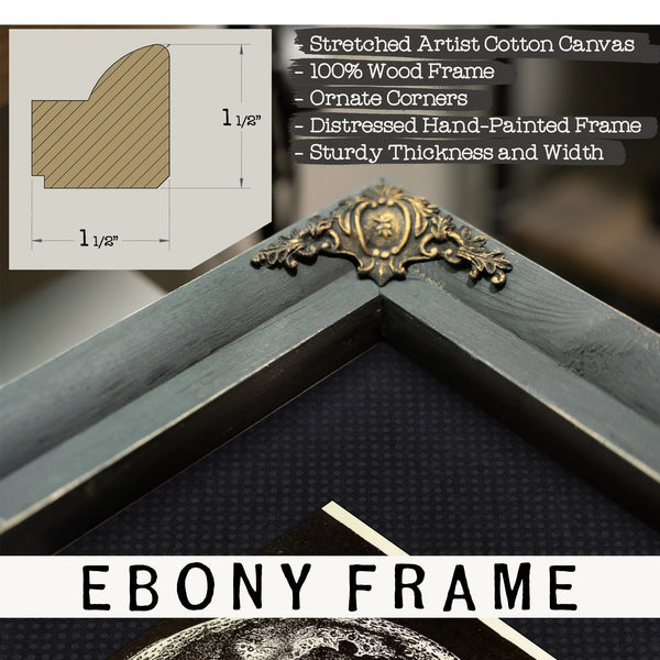 The Expired Planet Victorian Lunar Death Portrait — Framed Wall Art Room View | Bella Frye