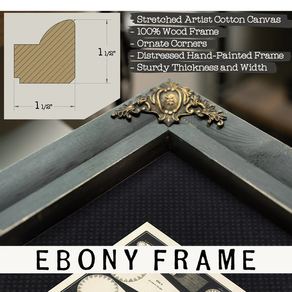 The Celestial Shadow Mechanics Victorian Eclipse Diagram — Framed Wall Art Room View | Bella Frye