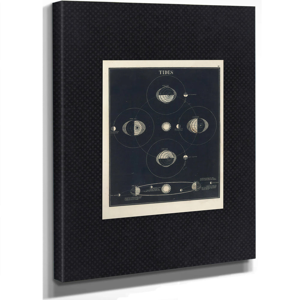 Thelunarpullastudyofcelestialforcesandearthlywaters