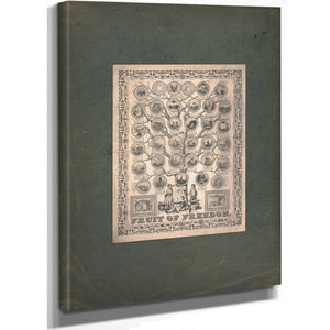 Fruit of Freedom 1858 — Stretched Canvas Print | Bella Frye