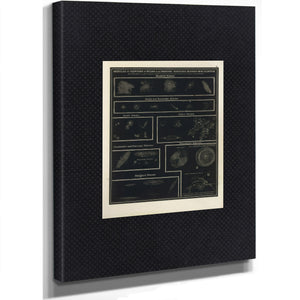 The Distant Mysteries a Victorian Atlas of Nebulae and Star Clusters — Stretched Canvas Print | Bella Frye
