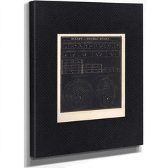 The Celestial Twins a Victorian Study of Binary Stars and Stellar Orbits — Stretched Canvas Print | Bella Frye