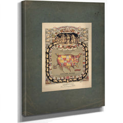 This Porcineograph 1876 — Stretched Canvas Print | Bella Frye