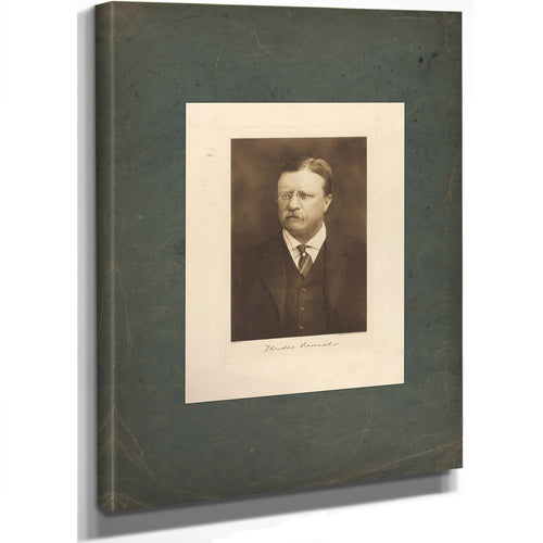 Theodore Roosevelt 191 1915 — Stretched Canvas Print | Bella Frye