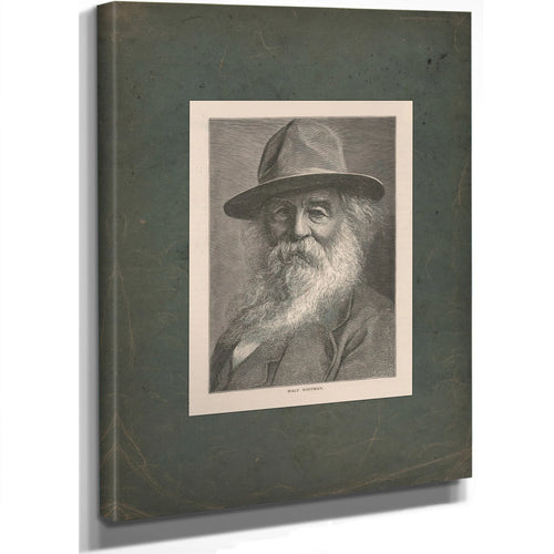 Walt Whitman 19th Century — Stretched Canvas Print | Bella Frye