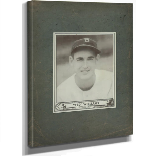 Ted Williams 194 Play Ball — Stretched Canvas Print | Bella Frye