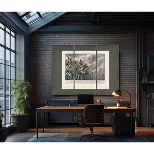 Battle of Cerro Cordo April 18th 1847 1847 — Framed Wall Art Room View | Bella Frye