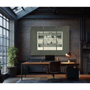 Cleveland Spiders Baseball Team 28b997 — Framed Wall Art Room View | Bella Frye