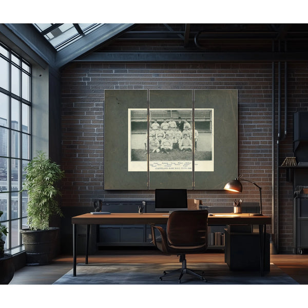 Cleveland Spiders Baseball Team 28b997 — Framed Wall Art Room View | Bella Frye
