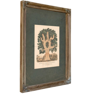 Chronological Chart of American History 1881 — Verdigris Framed Canvas Print | Bella Frye