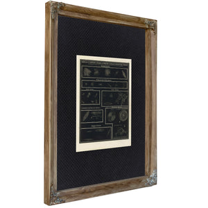 The Distant Mysteries a Victorian Atlas of Nebulae and Star Clusters — Verdigris Framed Canvas Print | Bella Frye
