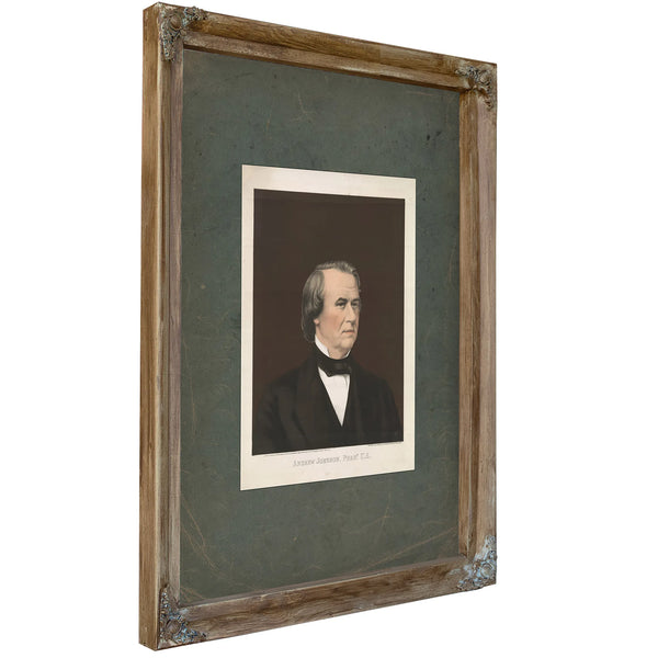 Andrew Johnson President Us 1866 — Verdigris Framed Canvas Print | Bella Frye