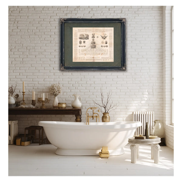 Diagram of the Federal Government or the Great Republic of the United States — Framed Wall Art Room View | Bella Frye