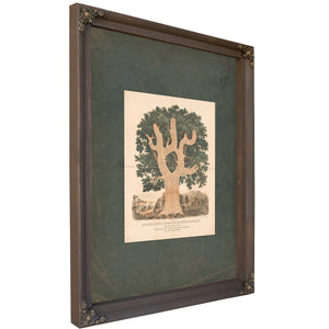 Chronological Chart of American History 1881 — Bourbon Framed Canvas Print | Bella Frye