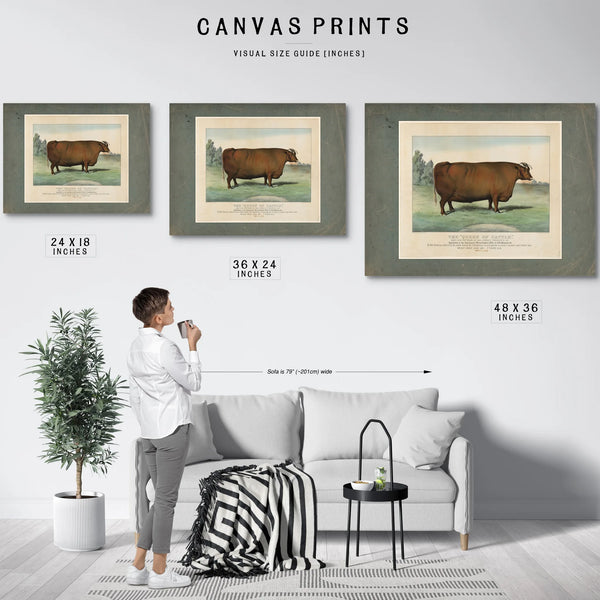 The Queen of Cattle Bred and Fattened by Geo Ayrault Poughkeepsie NY. Exh — Framed Wall Art Room View | Bella Frye
