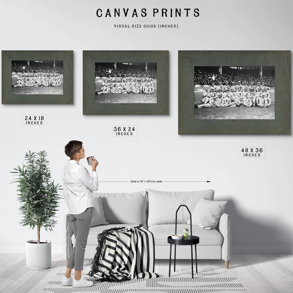 Chicago White Sox Baseball Team 89d57 — Framed Wall Art Room View | Bella Frye