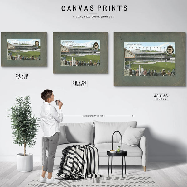 The Cathedral of American Pastime Polo Grounds Relic Print — Framed Wall Art Room View | Bella Frye