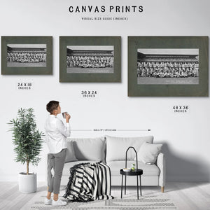 Negro League All Star Game 351e5 2 — Framed Wall Art Room View | Bella Frye
