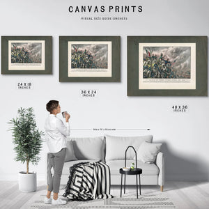 Battle of Cerro Cordo April 18th 1847 1847 — Framed Wall Art Room View | Bella Frye