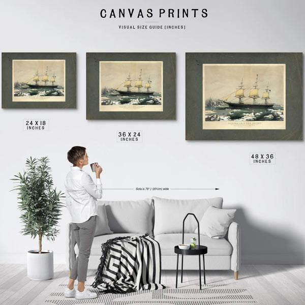 Clipper Ship Red Jacket_ in the Ice Off Cape Horn on Her Passage From Austra — Framed Wall Art Room View | Bella Frye