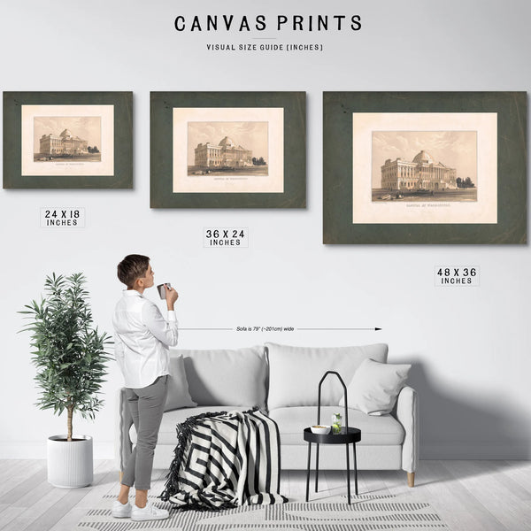 Capitol at Washington 19th Century — Framed Wall Art Room View | Bella Frye