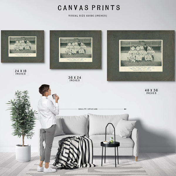 Cleveland Spiders Baseball Team 28b997 — Framed Wall Art Room View | Bella Frye