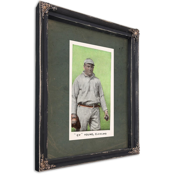E98 Set of 3 Cy Young Green 53c13 — Ebony Framed Canvas Print | Bella Frye