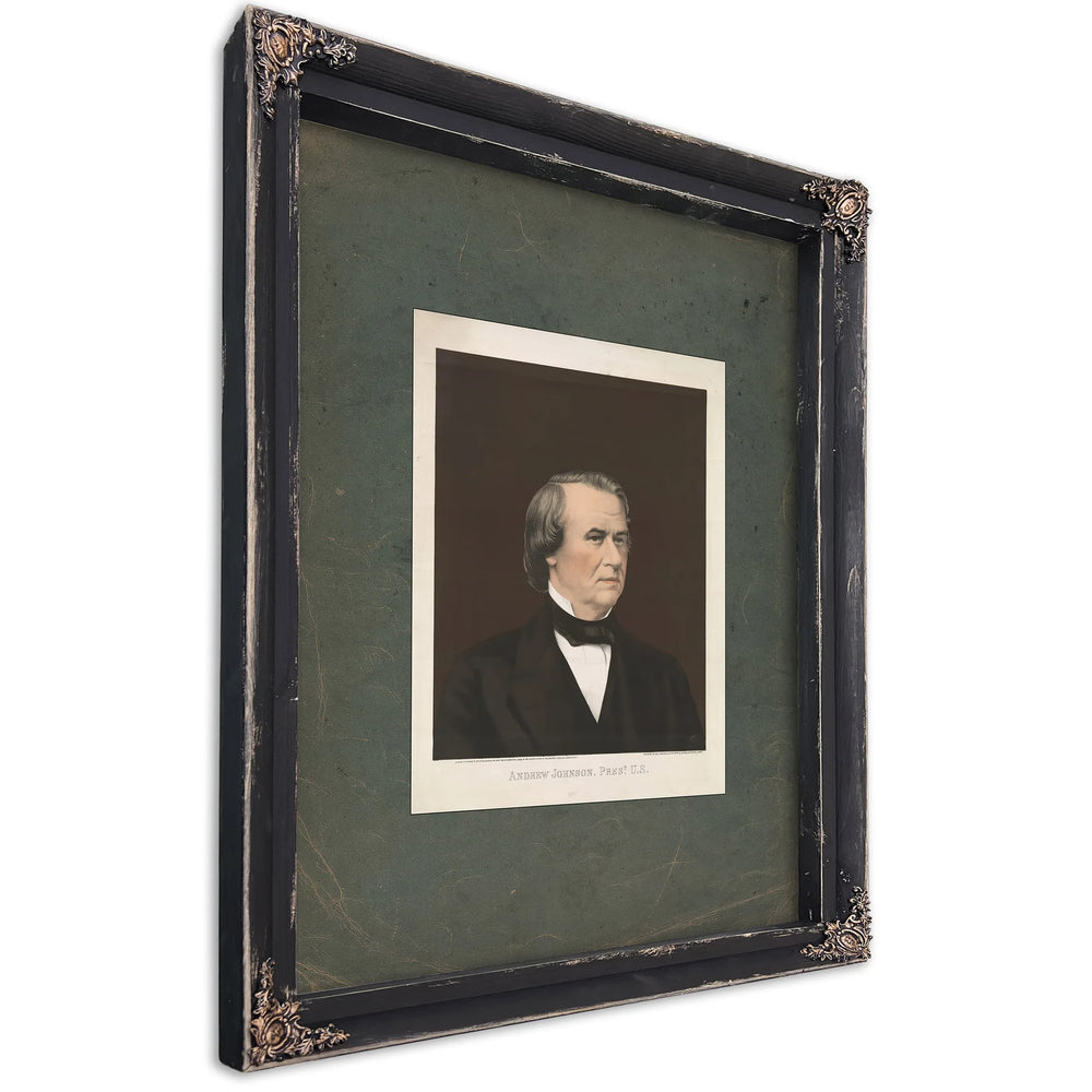 Andrew Johnson President Us 1866 — Ebony Framed Canvas Print | Bella Frye