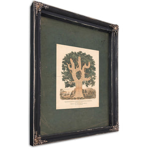 Chronological Chart of American History 1881 — Ebony Framed Canvas Print | Bella Frye