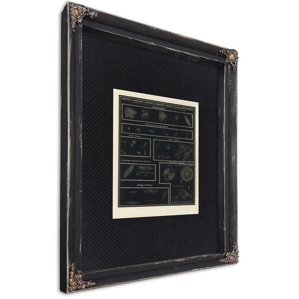 The Distant Mysteries a Victorian Atlas of Nebulae and Star Clusters — Ebony Framed Canvas Print | Bella Frye