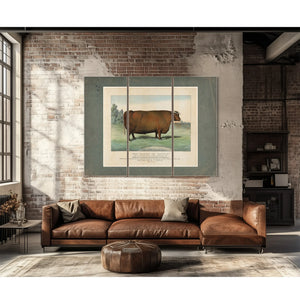 The Queen of Cattle Bred and Fattened by Geo Ayrault Poughkeepsie NY. Exh — Framed Wall Art Room View | Bella Frye