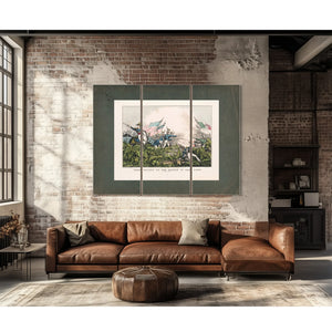 General Taylor at the Battle of Palo Alto May 8th 1846 1846 — Framed Wall Art Room View | Bella Frye