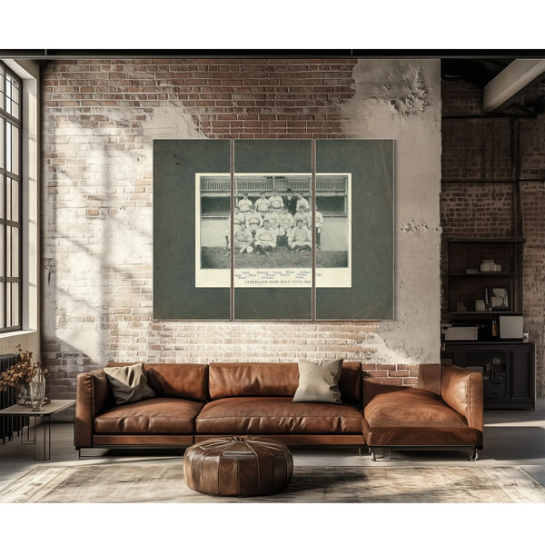 Cleveland Spiders Baseball Team 28b997 — Framed Wall Art Room View | Bella Frye