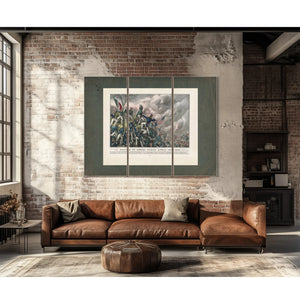Battle of Cerro Cordo April 18th 1847 1847 — Framed Wall Art Room View | Bella Frye