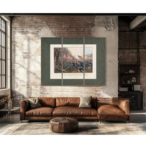 Battle of Mill Spring Ky Jan 19th 1862 1862 — Framed Wall Art Room View | Bella Frye