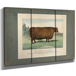 The Queen of Cattle Bred and Fattened by Geo Ayrault Poughkeepsie NY. Exh — Framed Wall Art Room View | Bella Frye