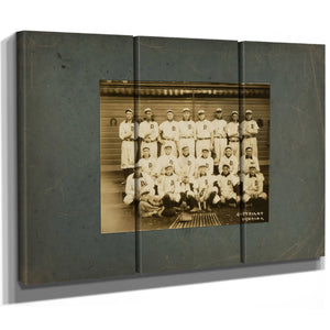Detroit Tigers Champions of the American League in — Framed Wall Art Room View | Bella Frye