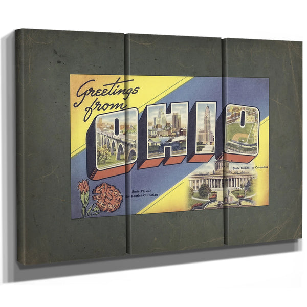 Ohio — Framed Wall Art Room View | Bella Frye
