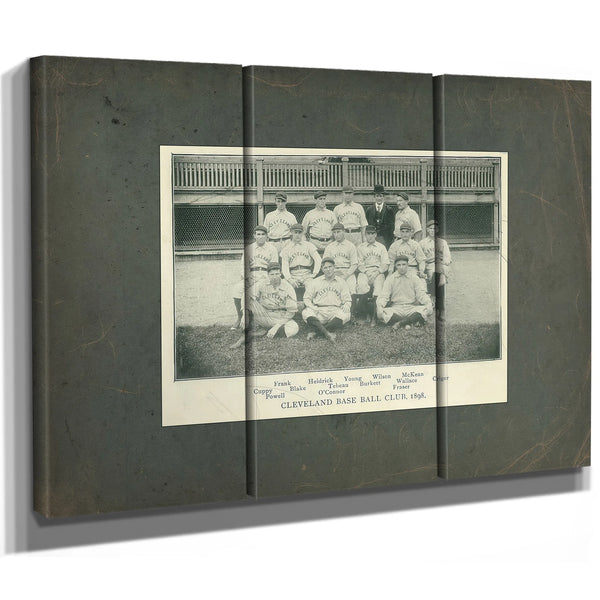 Cleveland Spiders Baseball Team 28b997 — Framed Wall Art Room View | Bella Frye