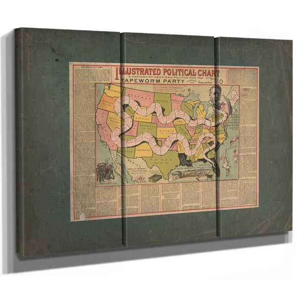 Illustrated Political Chart a Cartoon of American Politics and the Tapeworm — Framed Wall Art Room View | Bella Frye