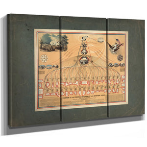 Diagram of the Federal Government and American Union by N Mendal Shafer Atto — Framed Wall Art Room View | Bella Frye