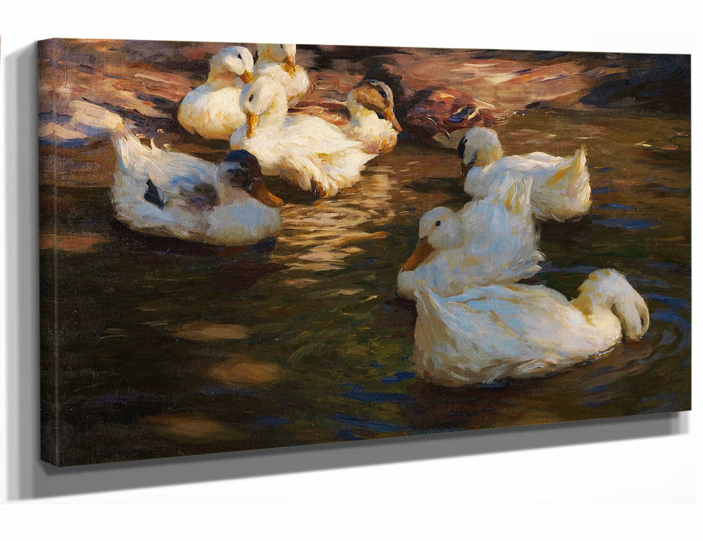 Alexander Koester 18" x 12" / Stretched Canvas Wrap 9 Enten Im Abendlicht By Alexander Koester