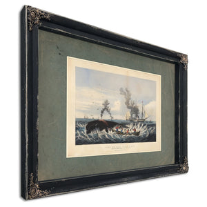 The Whale Fishery Attacking a Right Whale and Cutting In — Ebony Framed Canvas Print | Bella Frye