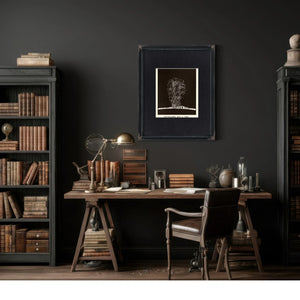 The Sun's Violent Breath 1892 Solar Prominence Study — Framed Wall Art Room View | Bella Frye