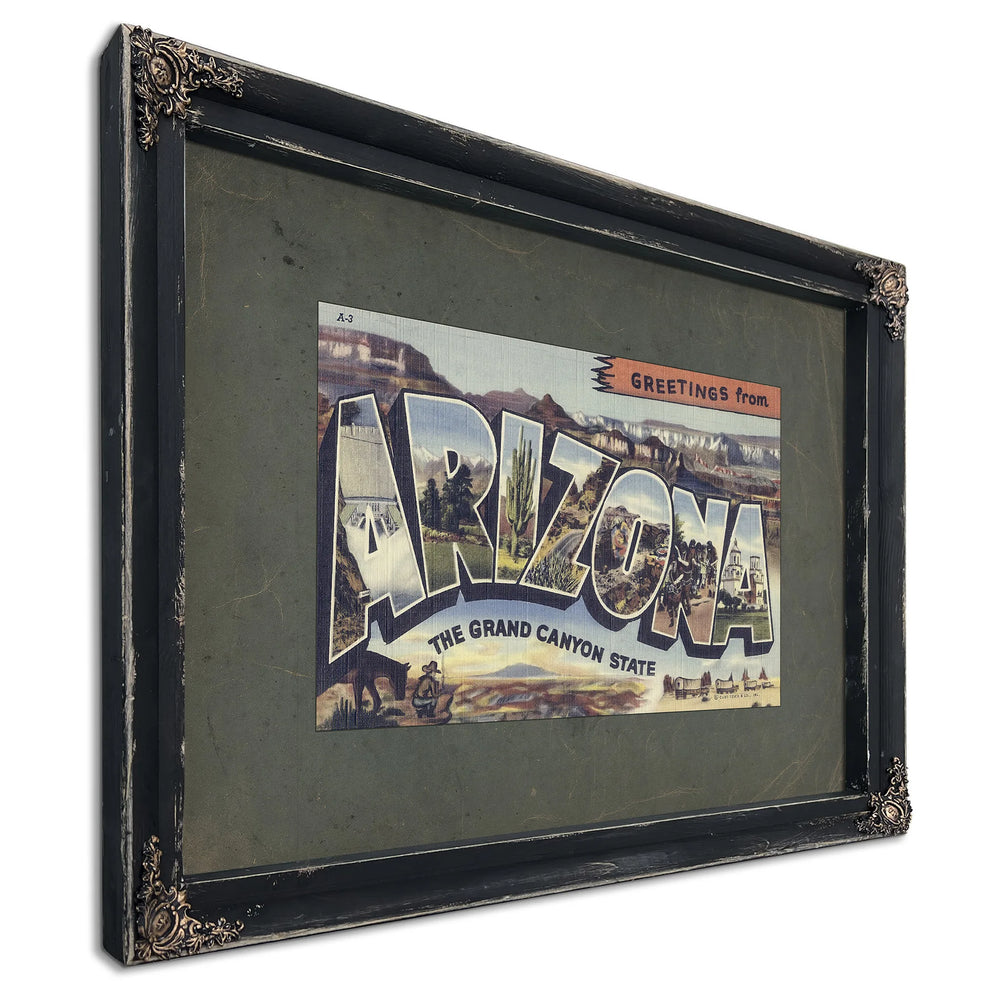 Arizona — Ebony Framed Canvas Print | Bella Frye