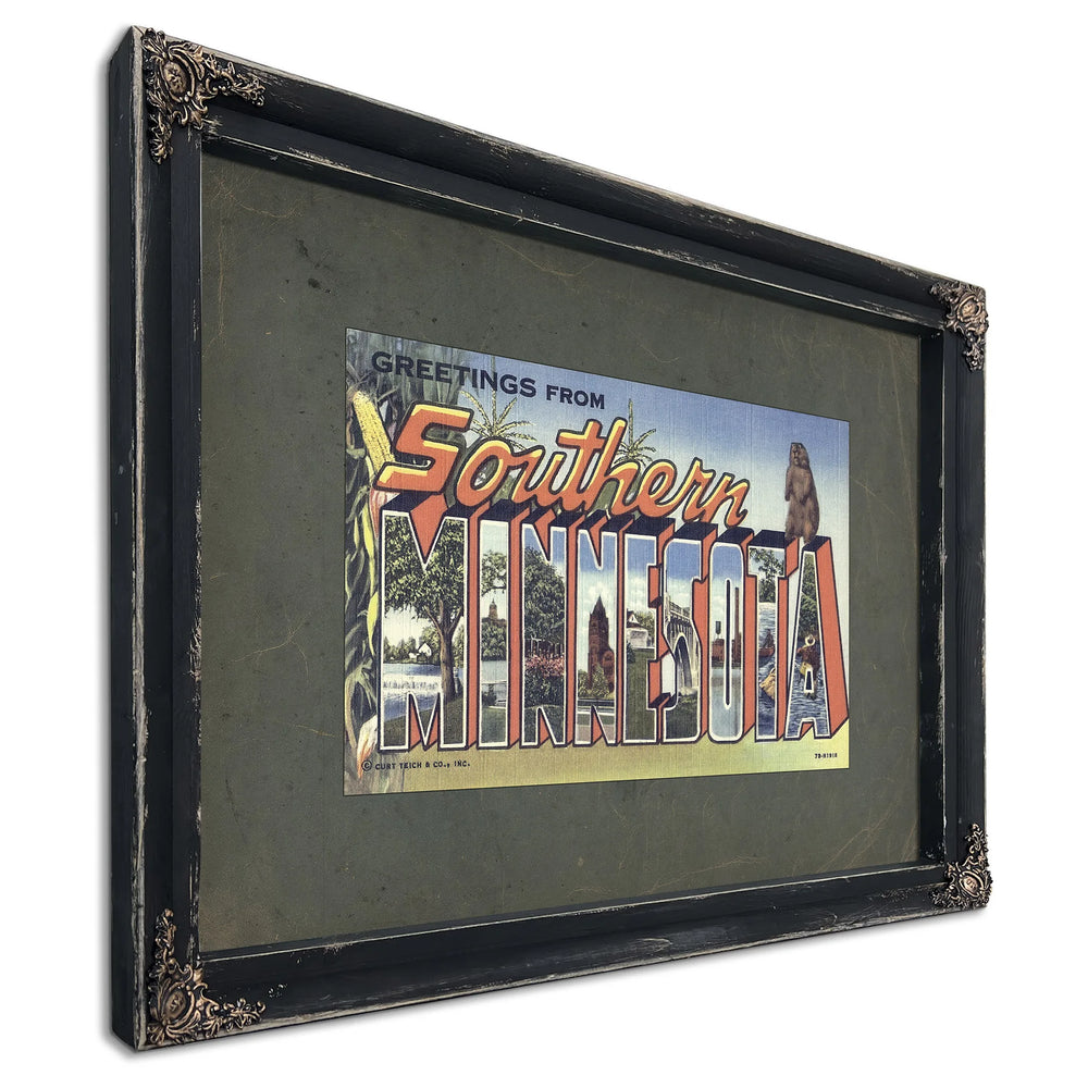 Minnesota Southern — Ebony Framed Canvas Print | Bella Frye