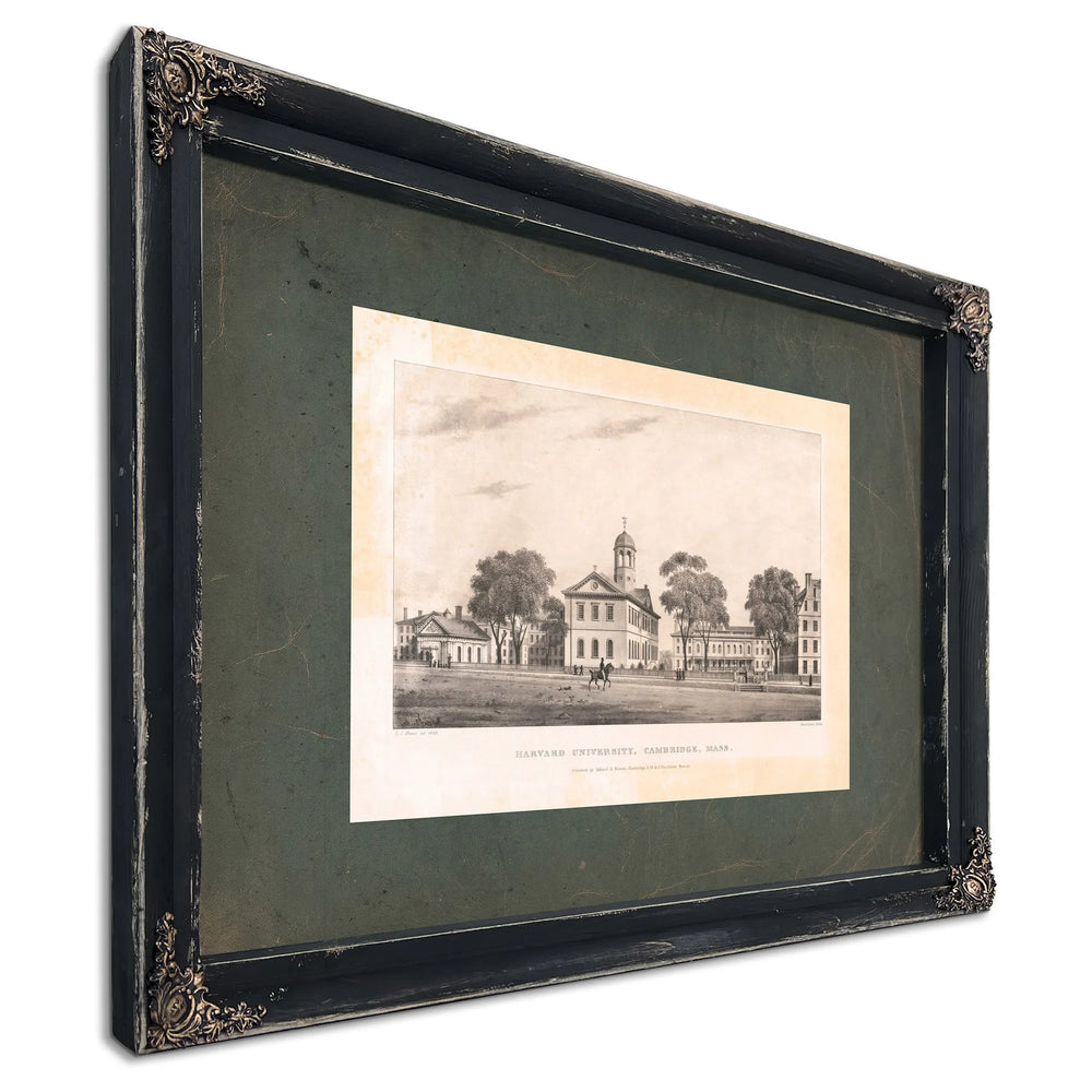 Harvard University Cambridge Mass 19th Century — Ebony Framed Canvas Print | Bella Frye