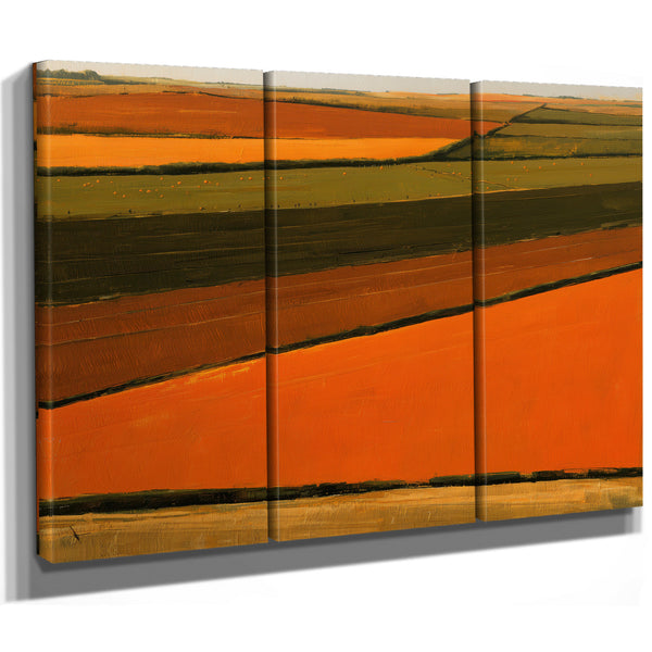 Aerial View Of Orange Harvest Fields by Bella Frye